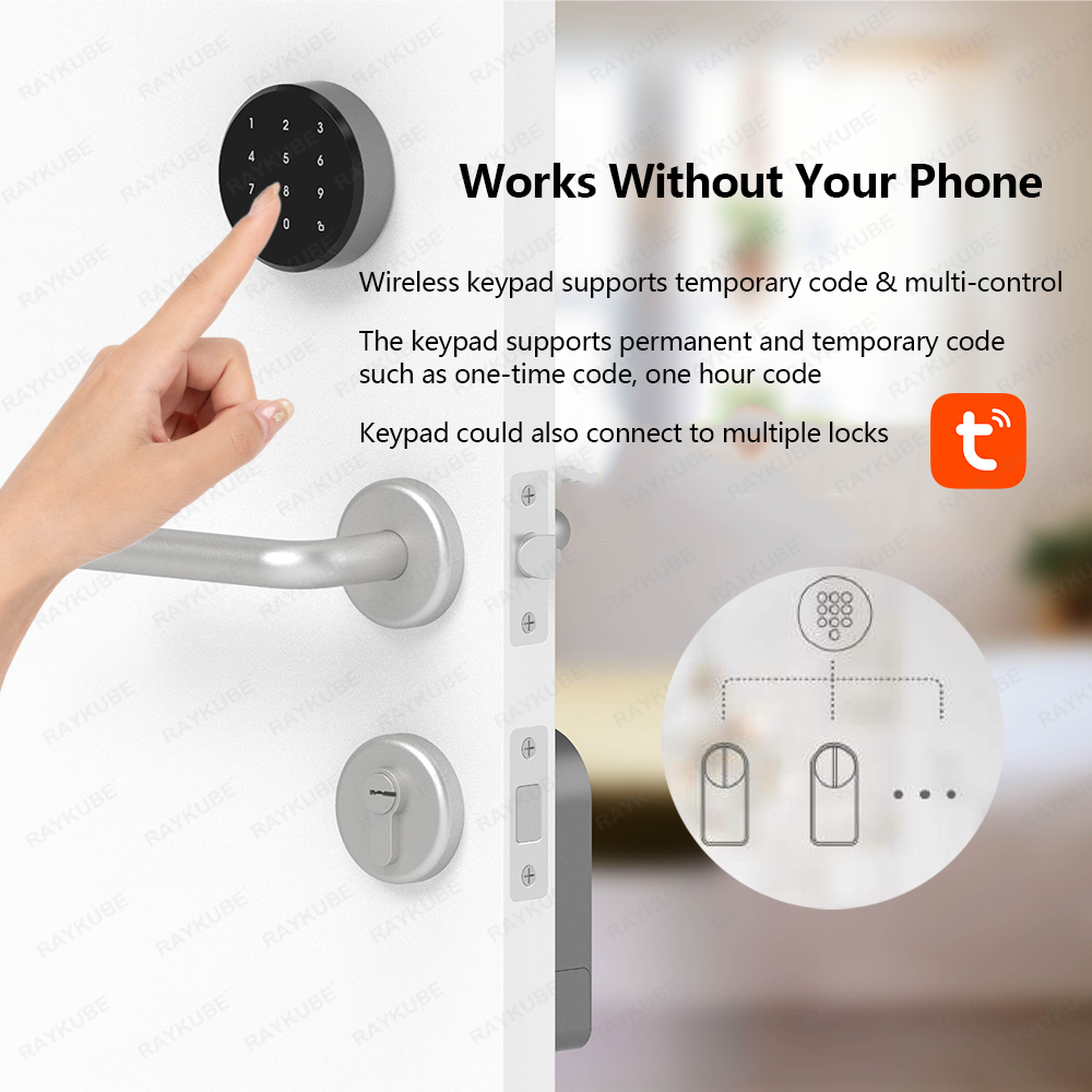 RAYKUBE A1 Pro Tuya BEL Smart  - Smart Home Ezviz 评论和价格