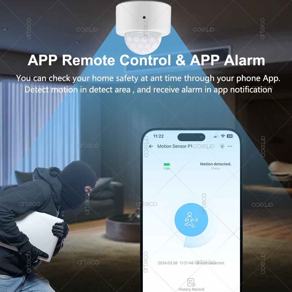 Ewelink Zigbee PIR Motion Sens - Smart Home Bridge 评论和价格
