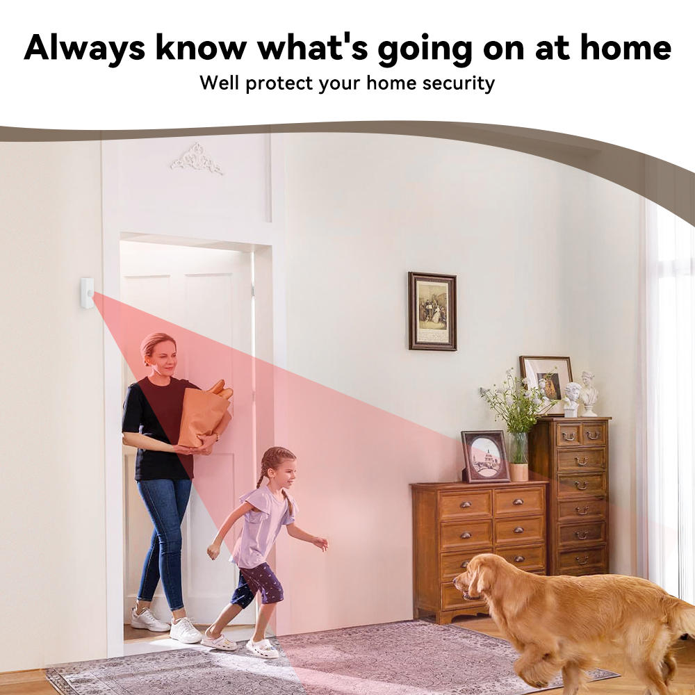 Tuya Smart PIR Motion Sensor S - Smart Home Monitoring 评论和价格