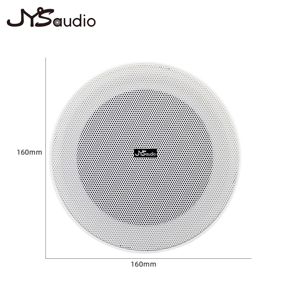 Framless Ceiling Speaker 10W 8 - Smart Home Speaker 评论和价格