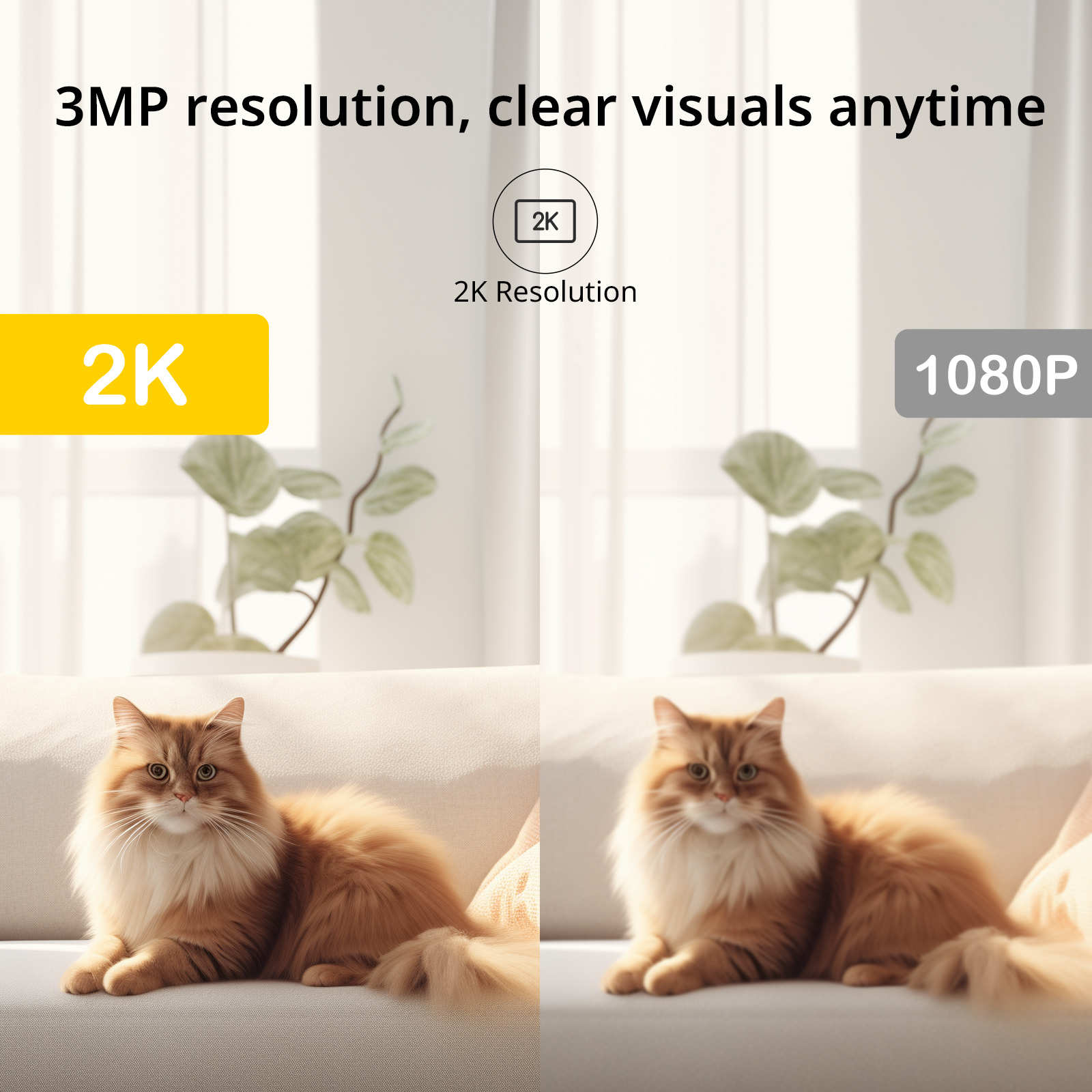 BoyKeep Surveillance Camera 3M - Smart Home Ezviz 评论和价格